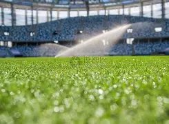 欧弟公布婚,六年婚姻终,育有两女与,平博体育,平博体育官网,平博体育官方,平博体育下载