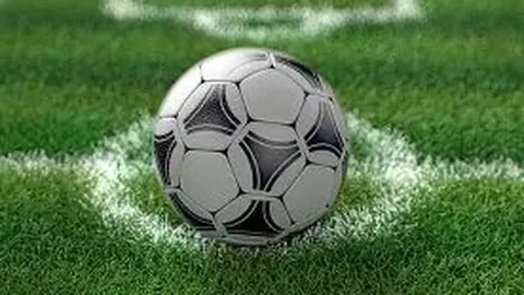 2025亚洲三站游泳世界杯赛事即将启幕