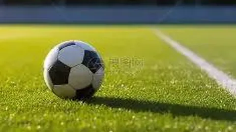 《意甲焦点：基耶萨与扎尼奥洛状态飙升，国家队之选还需再磨一磨》