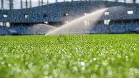 欧弟公布婚变：六年婚姻终结，育有两女与重庆辣妹分道扬镳